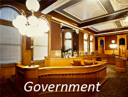 government